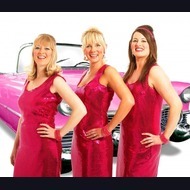 60's & 70's Band: The Pink Cadillettes