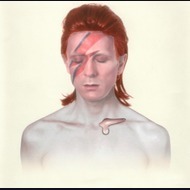 David Bowie Tribute Act: Thebowiexperience