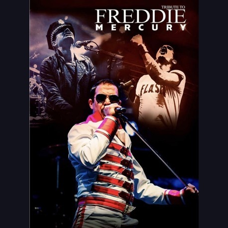 Bruce Game Is Freddie Mercury