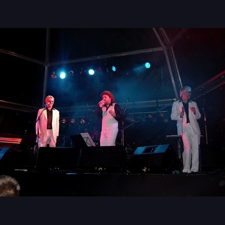The Bee Gees Experience